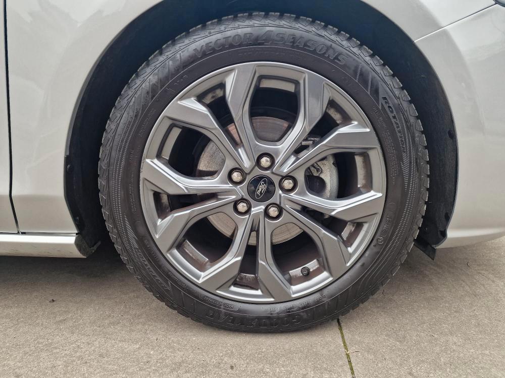 Ford Focus 5 Porte Focus 1.5 ecoblue ST-Line 115cv auto