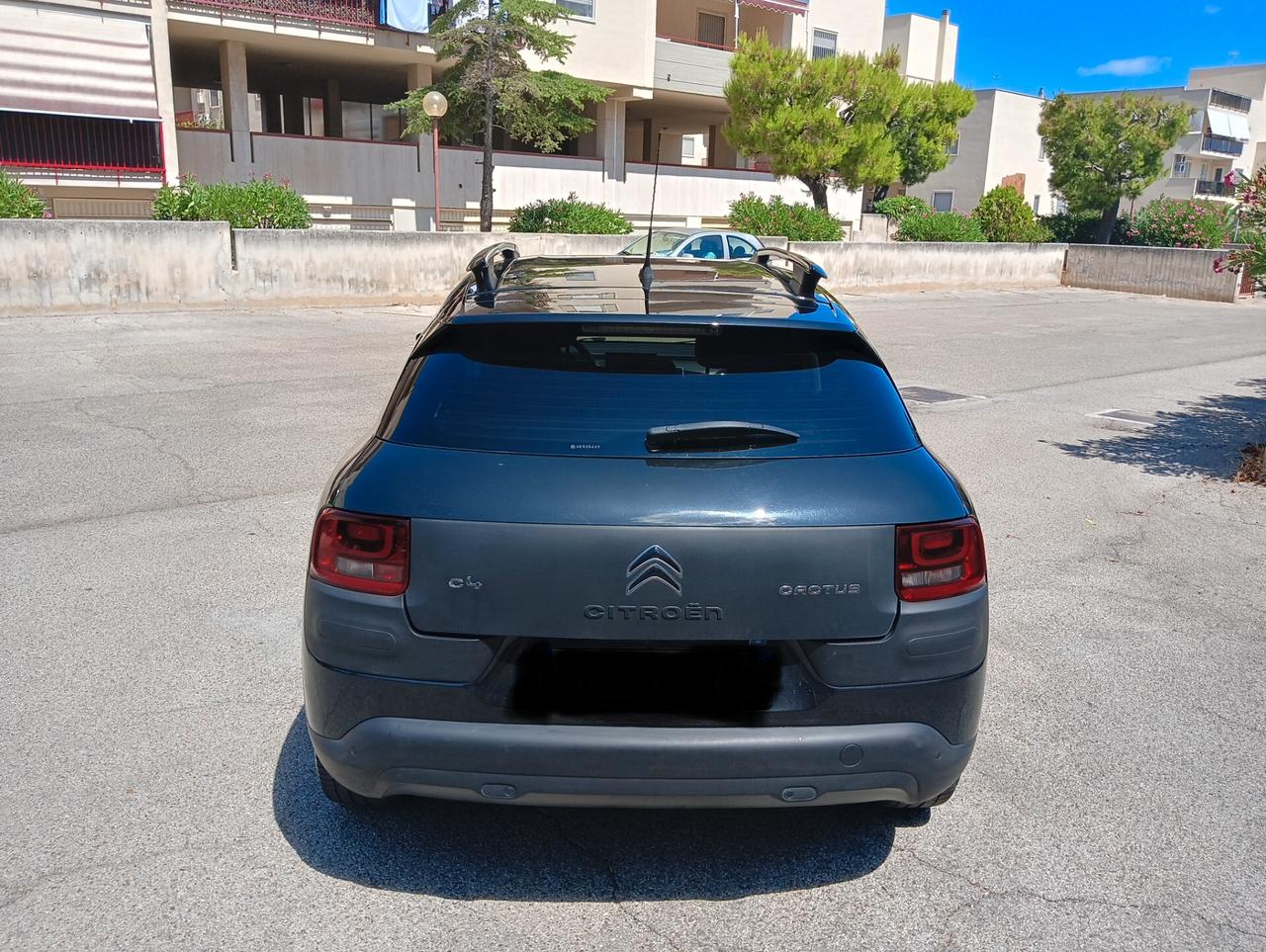 Citroen C4 Cactus BlueHDi 100 Shine