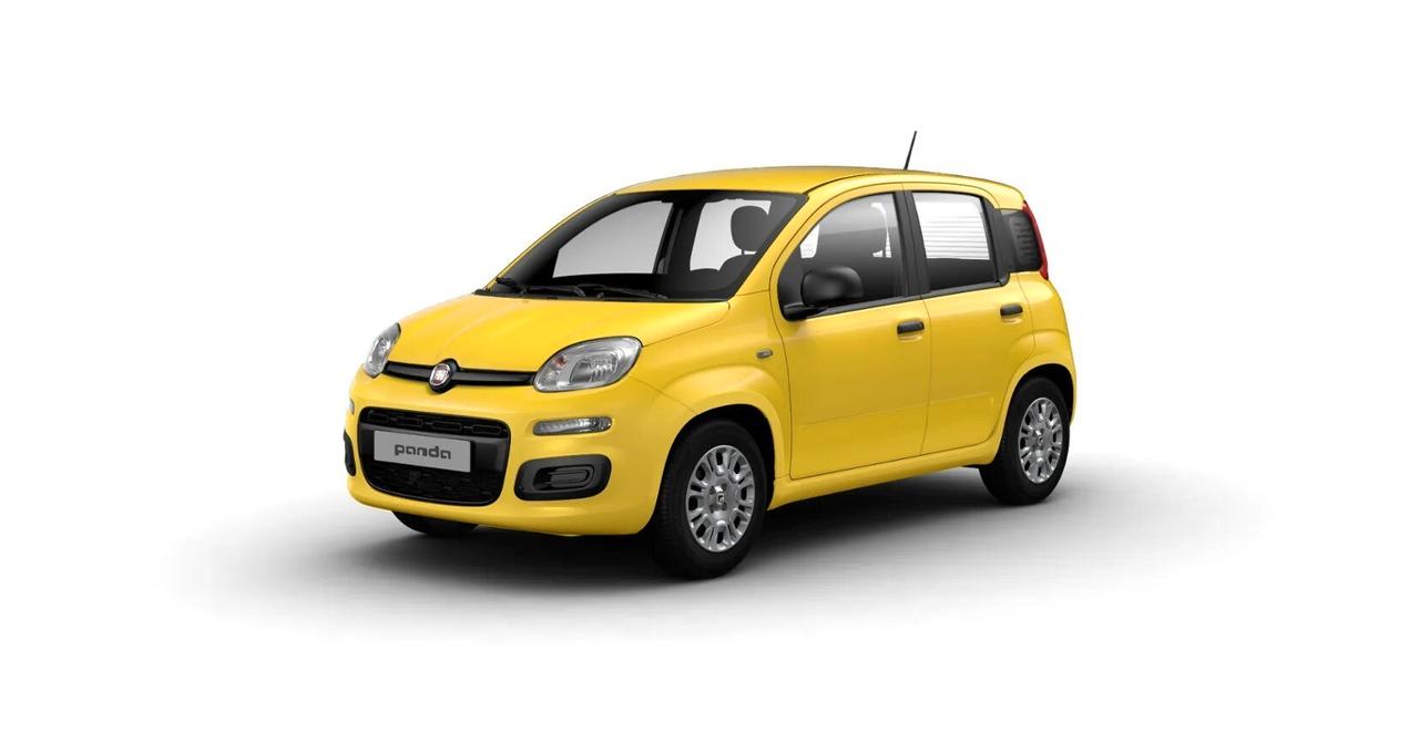 FIAT Pandina Pandina 1.0 FireFly 65 CV Hybrid Icon