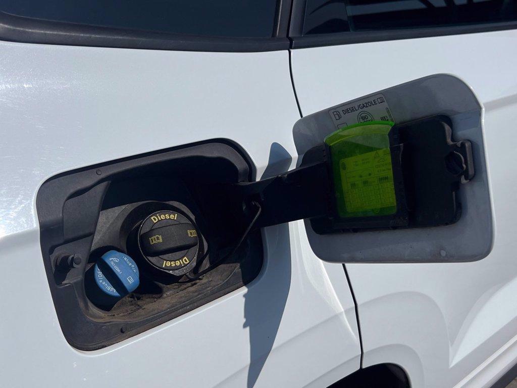 SKODA Karoq 2.0 TDI SCR 4x4 DSG Ambition del 2019