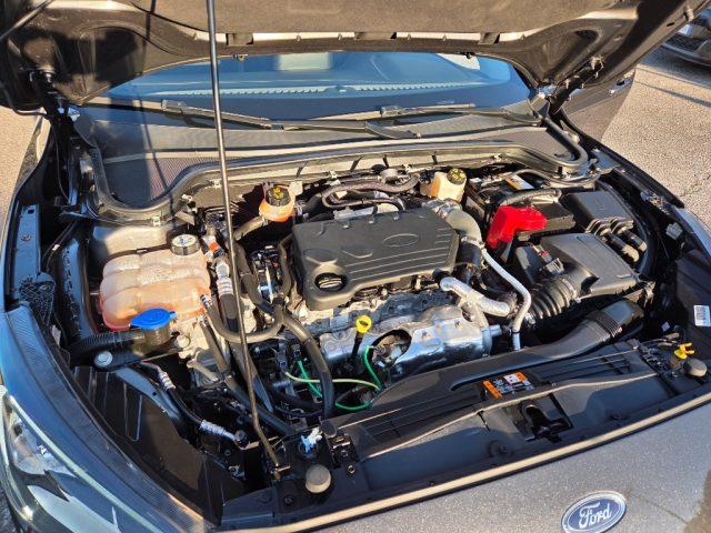 FORD Focus 1.5 EcoBlue 120 CV 5p. Business