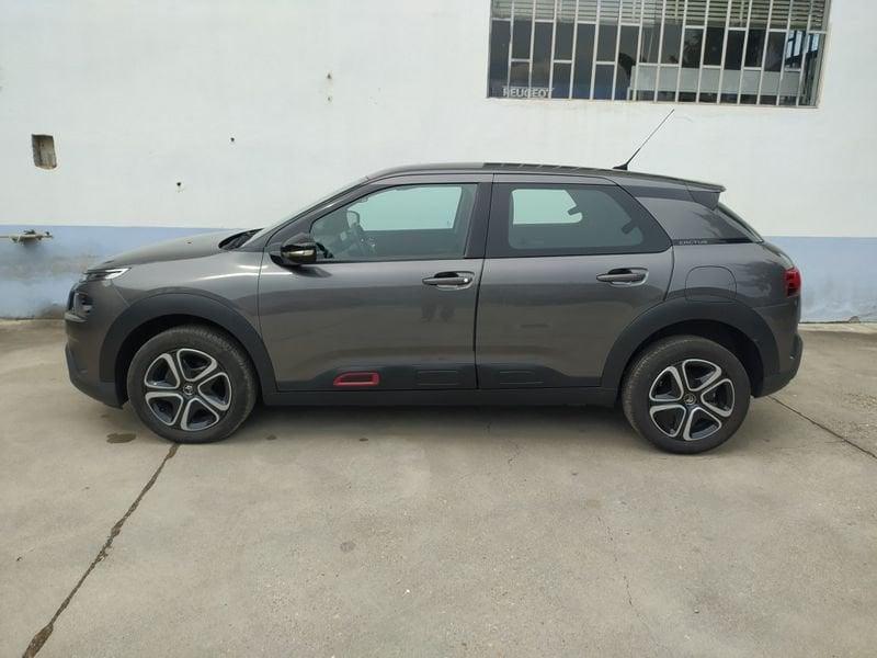 Citroën C4 Cactus 100 1.5 hdi Feel Zero Interessi