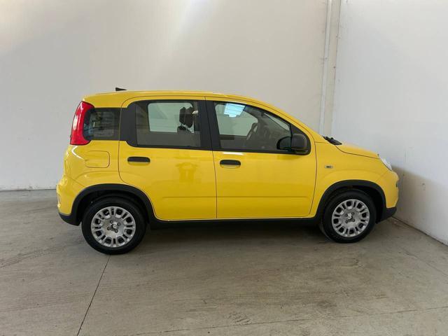 FIAT Panda 1.0 FireFly S&S Hybrid PREZZO VERO