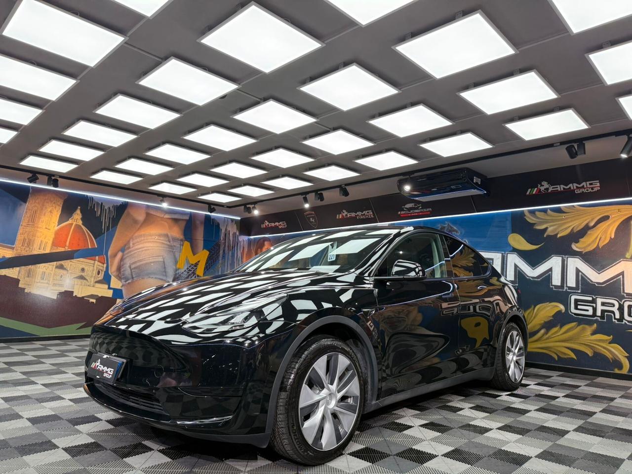 Tesla Model Y RWD (995)