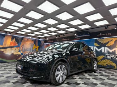 Tesla Model Y RWD (995)