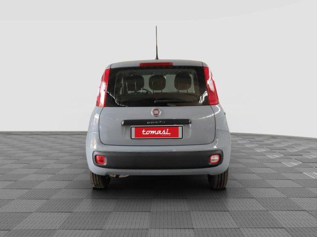FIAT Panda Panda 1.2 Easy