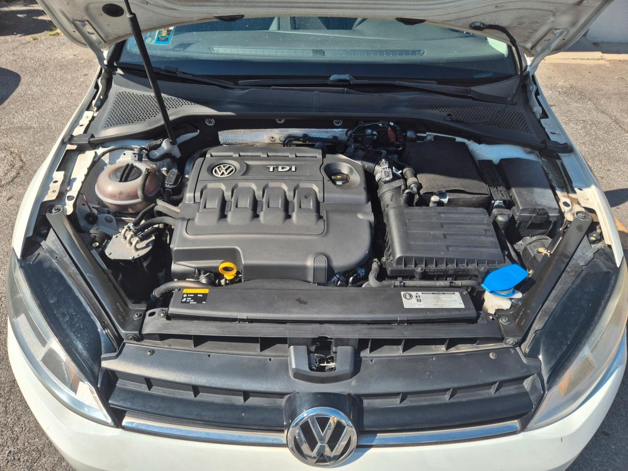 Volkswagen Golf 1.6 TDI 90 CV 5p. Trendline BlueMotion