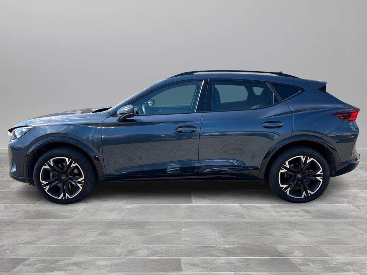 CUPRA Formentor 2.0 tdi 150cv dsg