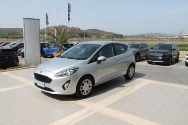 Ford Fiesta 1.5 EcoBlue 5 porte Titanium