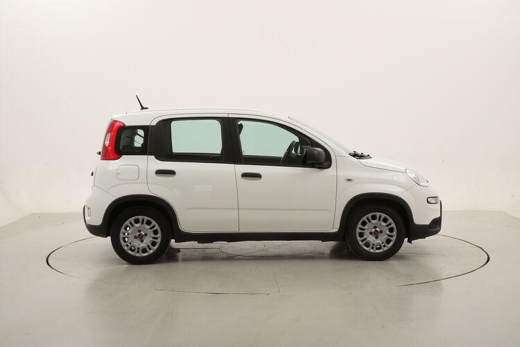 Fiat Panda Hybrid BR126525 1.0 Mild Hybrid 70CV
