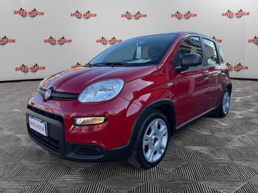 FIAT Panda Panda 1.0 firefly hybrid 70cv 5 POSTI, PRONTA CONSEGNA!