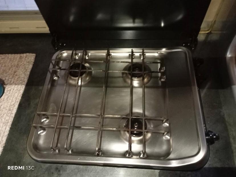 LAIKA ECO VIP 400 FRECCIA D'ORO GEMMELLATO 1999