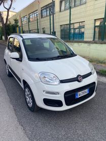 Fiat Panda Natural Power Fine 2014 TAGLIANDATA