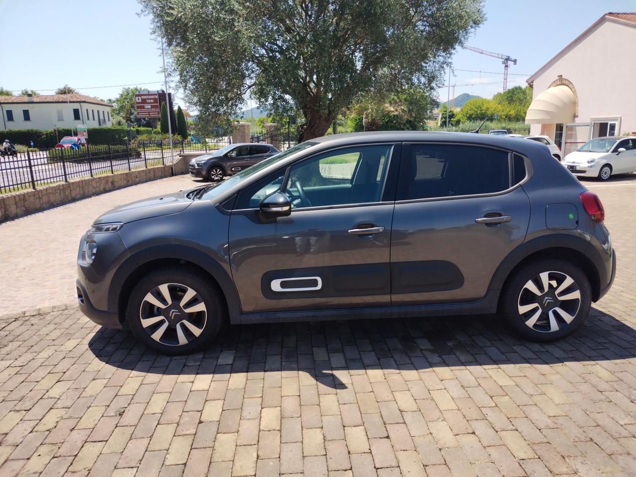 Citroen C3 Max 2024