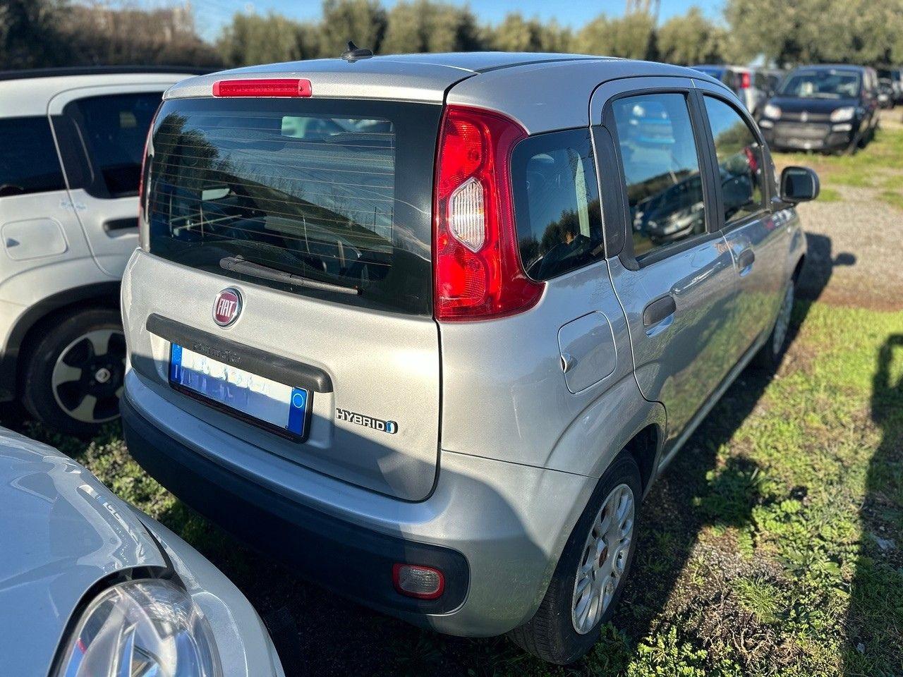 FIAT Panda 3ª serie - Panda 1.0 FireFly S&S Hybrid Panda