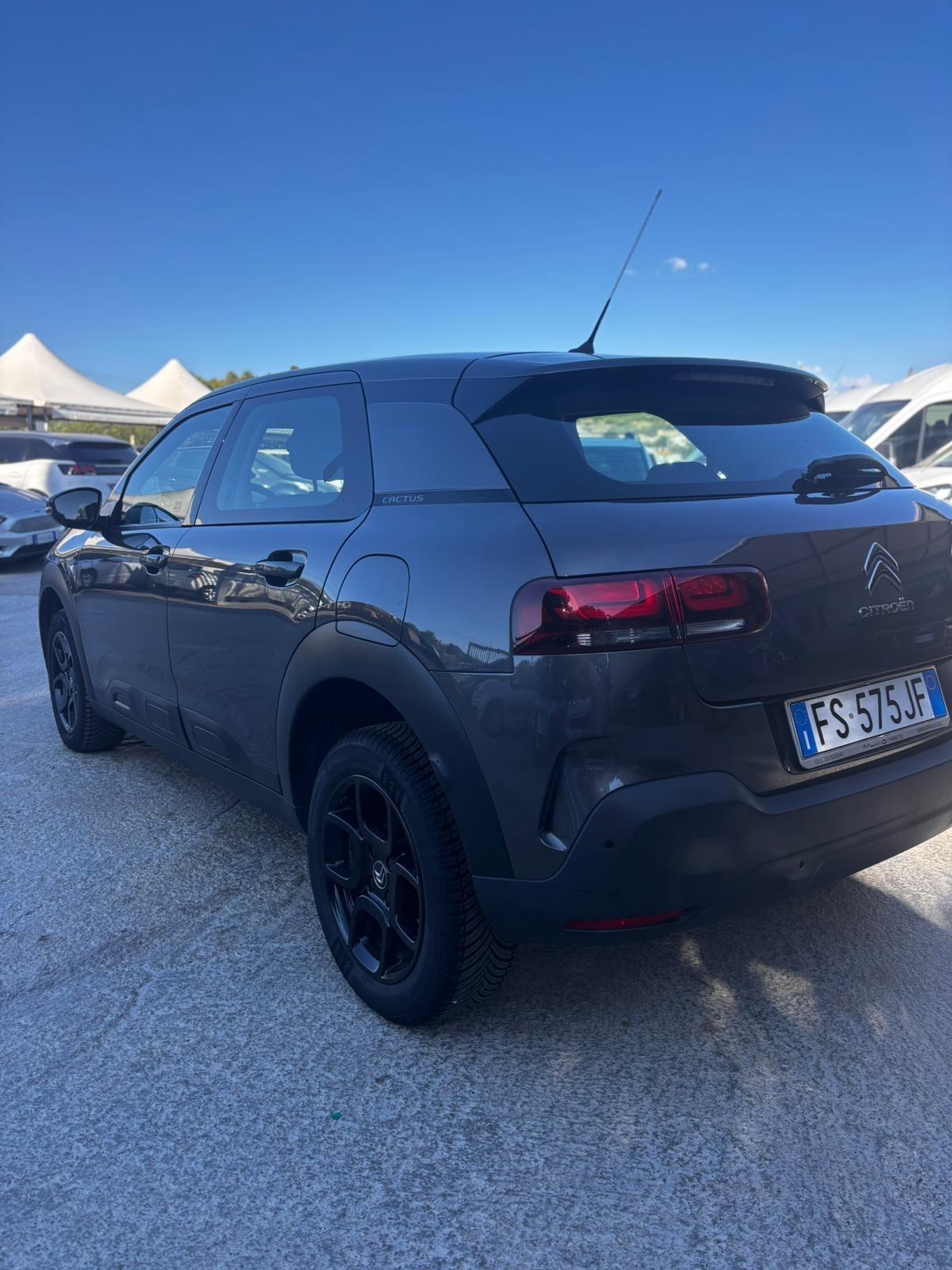 Citroen C4 Cactus BlueHDi 100 S&S ETG6 Feel
