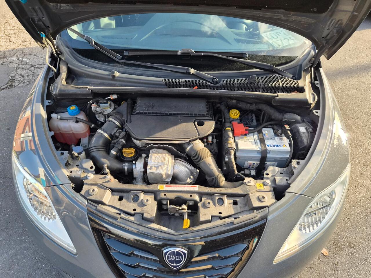 Lancia Ypsilon 1.3 MJT 16V 95 CV 5 porte S&S Elle
