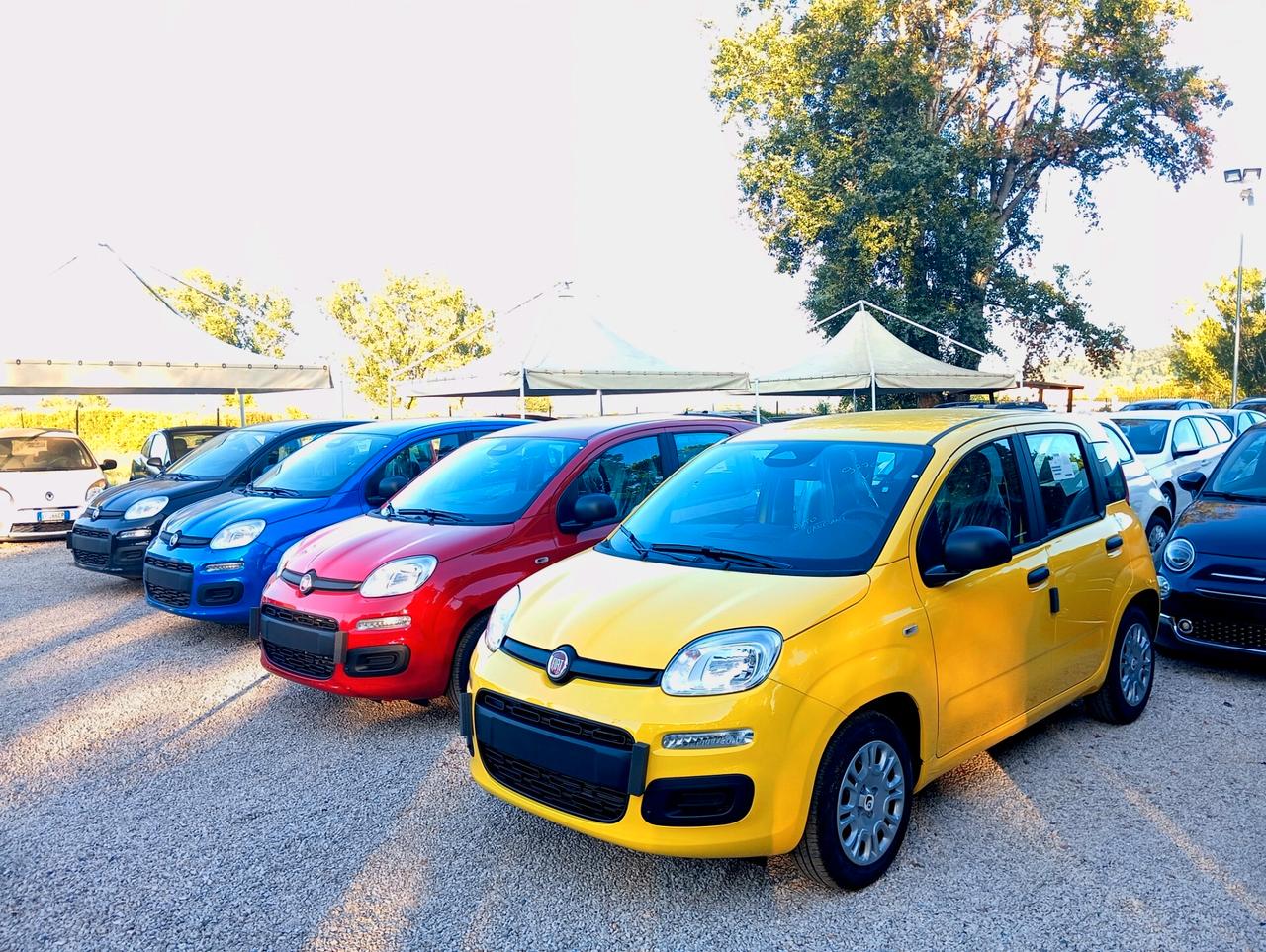 Fiat Panda 1.0 FireFly S&S Hybrid