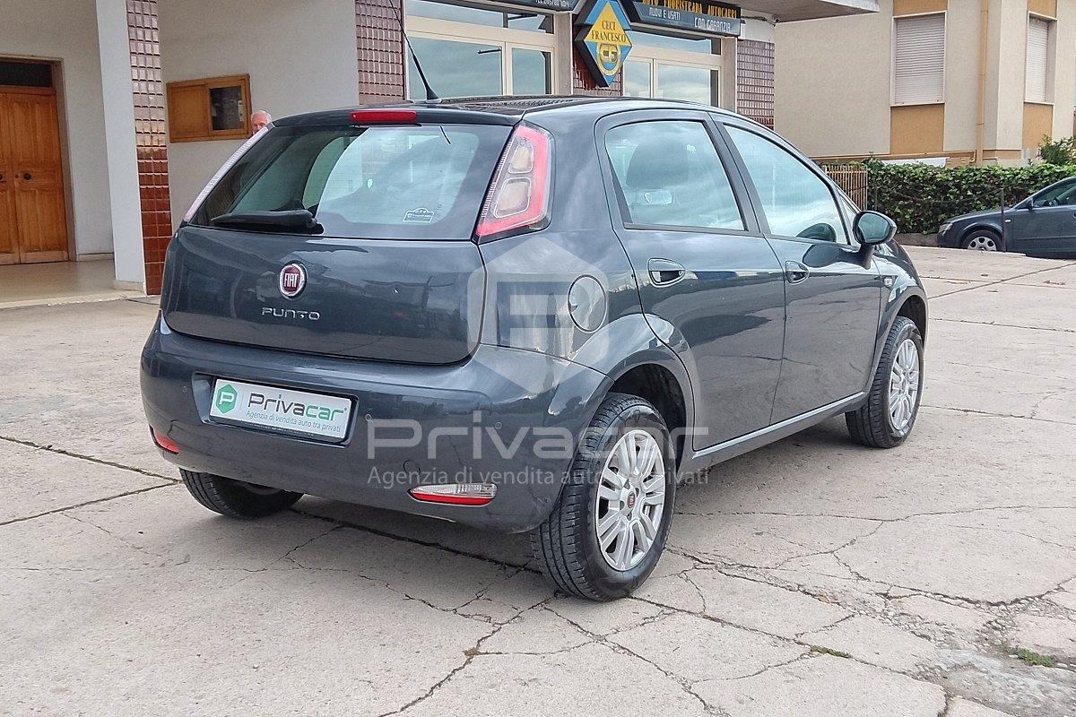 FIAT Punto 1.4 8V 5 porte Natural Power Street