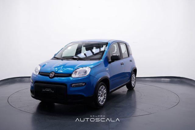 FIAT New Panda 1.0 FireFly S&S Hybrid Pack City