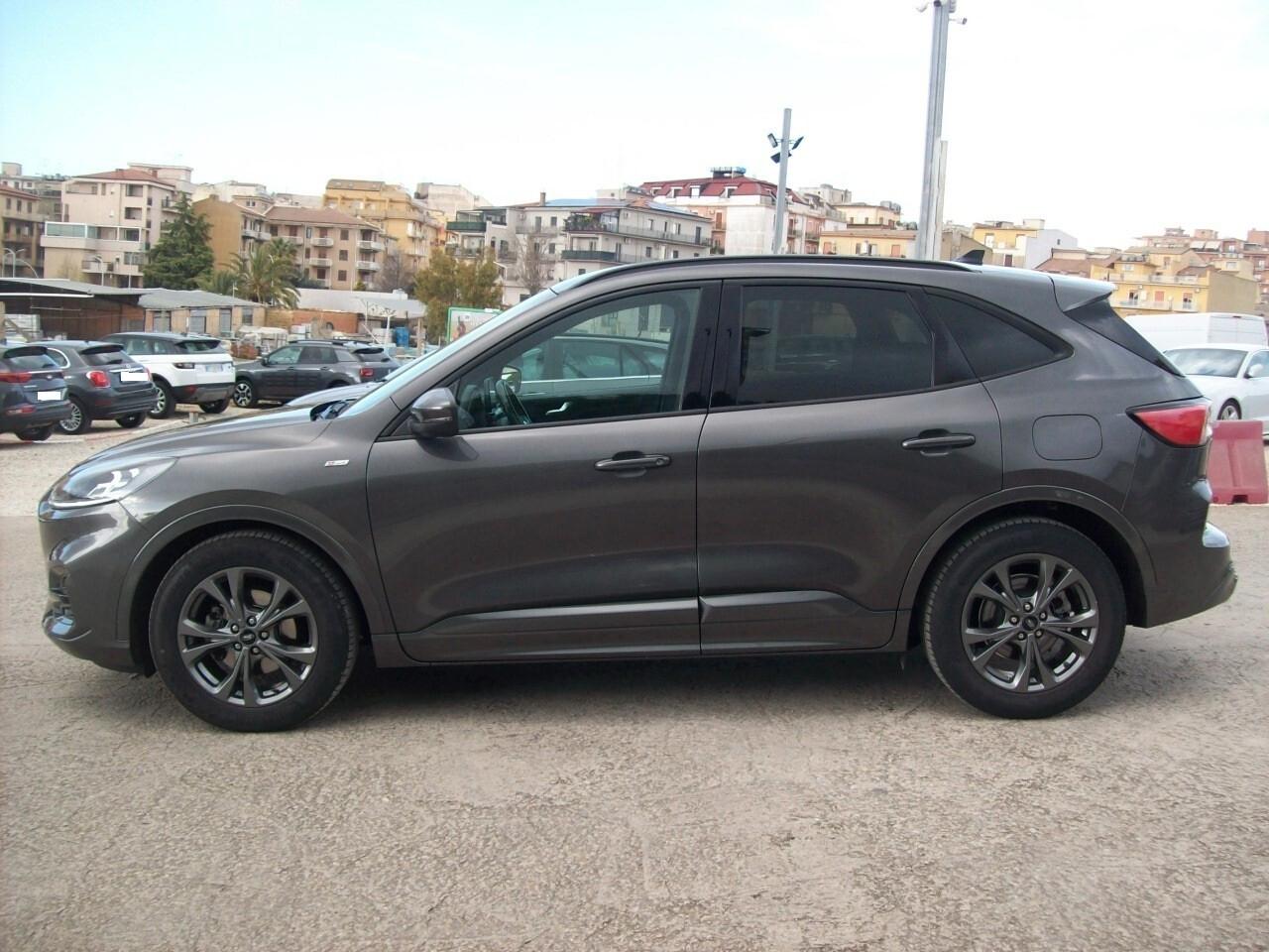 FORD KUGA 2.0 TDCI CV.150 2WD STLine "2020"
