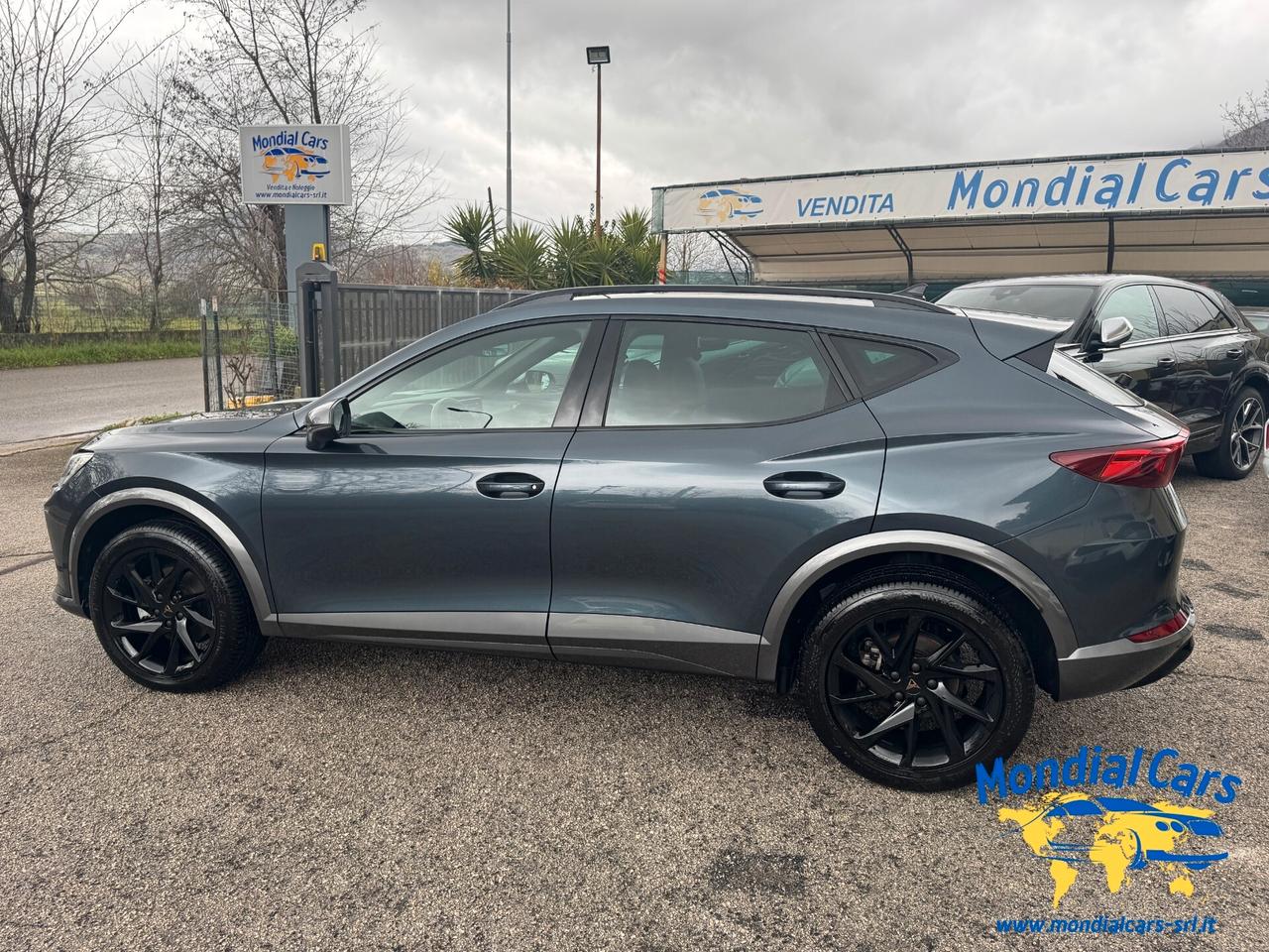 Cupra Formentor 2.0 TDI 4Drive DSG