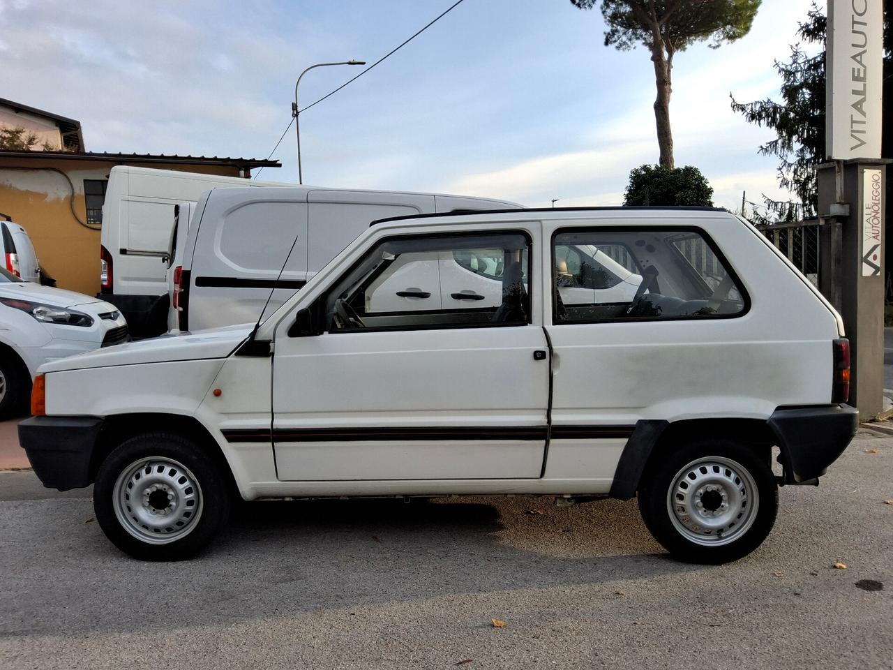 Fiat Panda 900 i.e. cat Young
