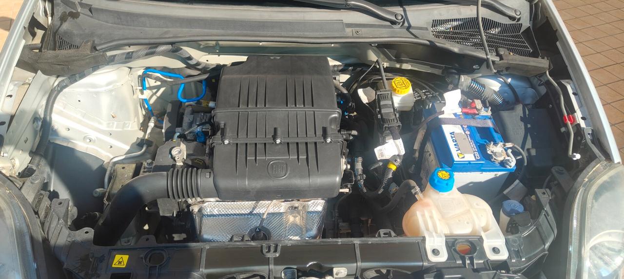 Fiat Punto 1.2 8V 5 porte Street