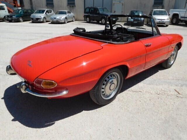 Alfa Romeo Spider 1.6 duetto osso di seppia -CRS --1967