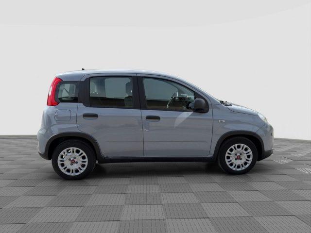 FIAT Panda Panda 1.0 FireFly Hybrid City Life