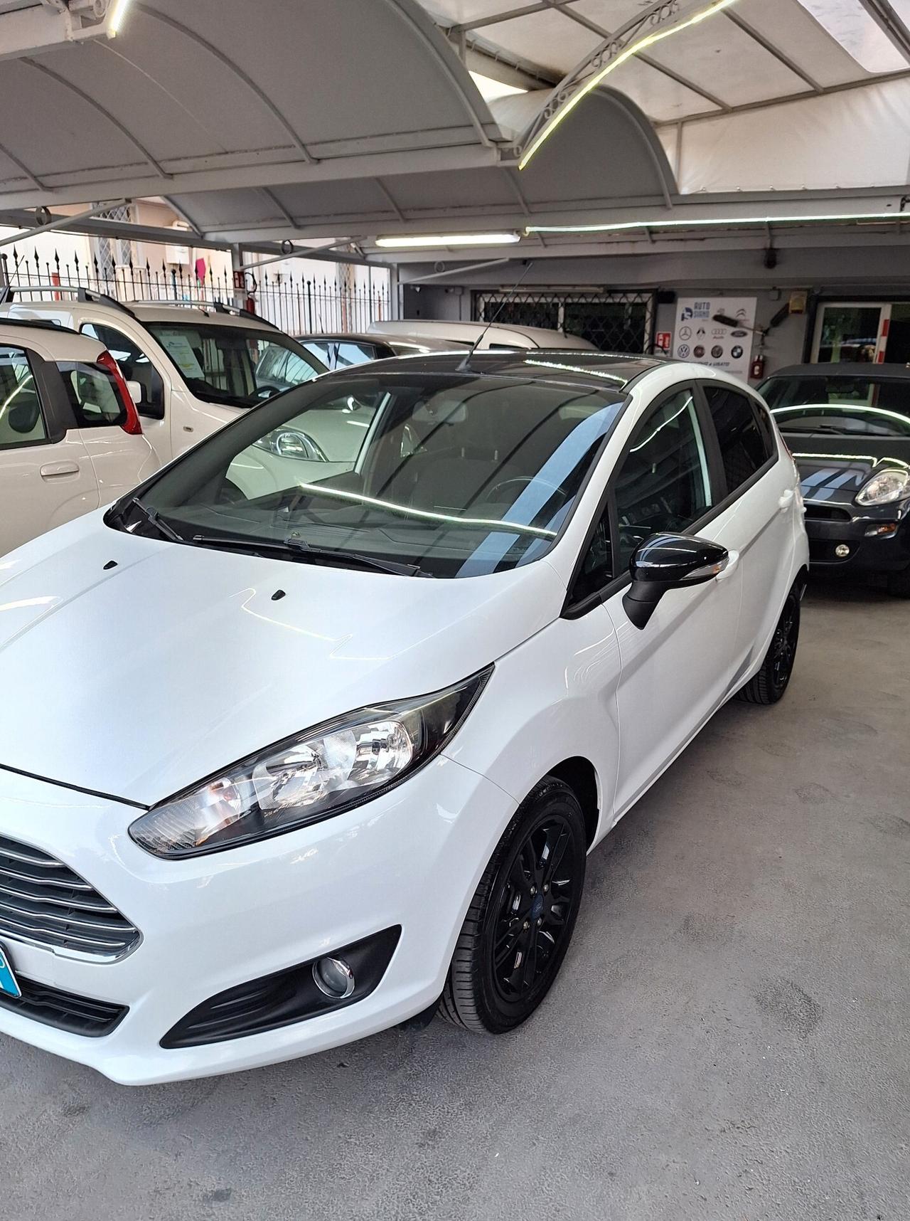 Ford Fiesta 1.5 TDCi 75CV 5 porte Black & White Edition E6