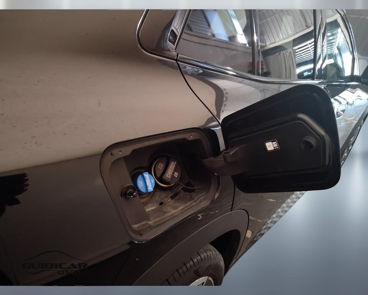 BMW X2 U10 - X2 sdrive 18d auto