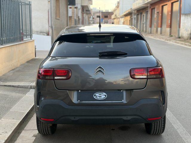 CITROEN C4 Cactus 1.6 BlueHDi 100 Shine