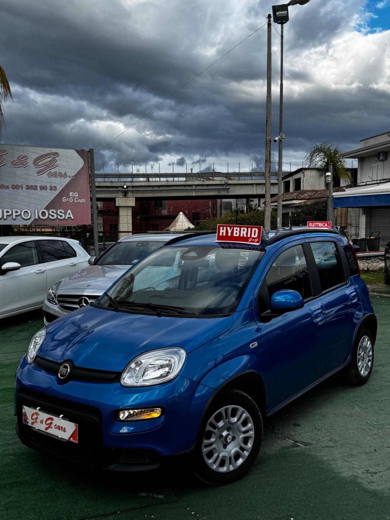 Fiat Panda 1.0 FireFly S&S Hybrid Pandina