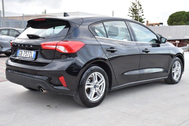 FORD Focus 1.5 EcoBlue 95 CV 5p. Business *Navigatore*