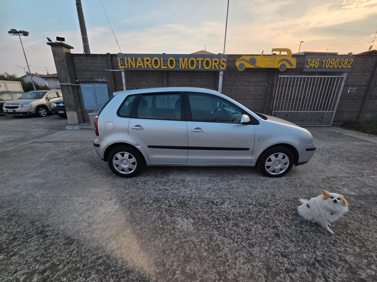 Volkswagen Polo 1.4 TDI 5p. Trendline