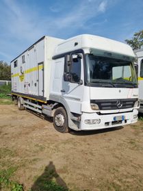 Mercedes Benz 12-23 TRASPORTO CAVALLI 8 POSTI