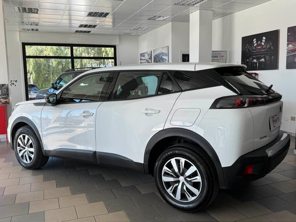 Peugeot 2008 BlueHDi 110 S&S Active con Telecamera