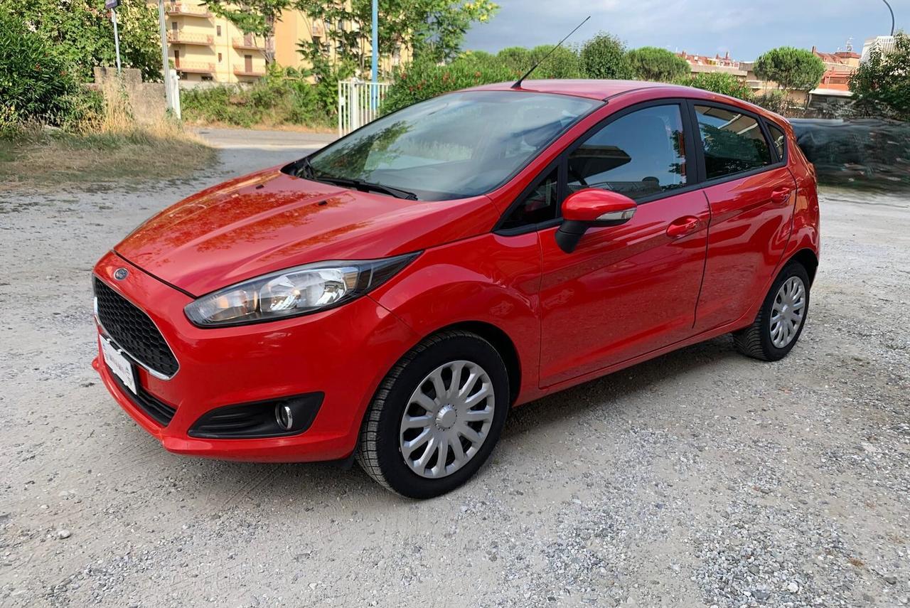Ford Fiesta 1.4 5 porte Bz.- GPL Black & White Edition