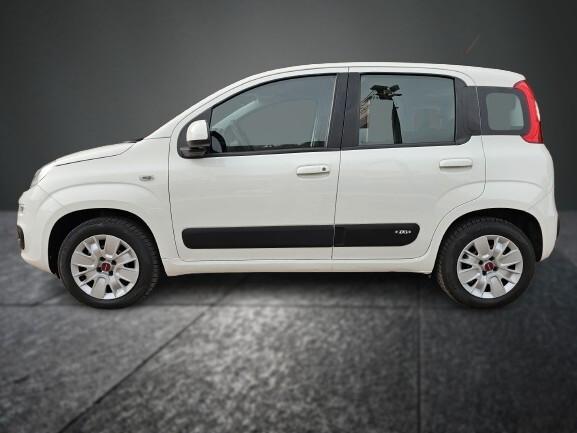 FIAT PANDA 1.2 69cv S&S EASY