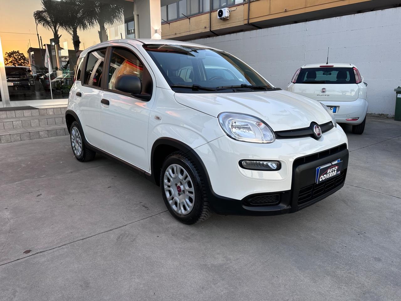 Fiat Panda 1.0 FireFly S&S Hybrid City Life