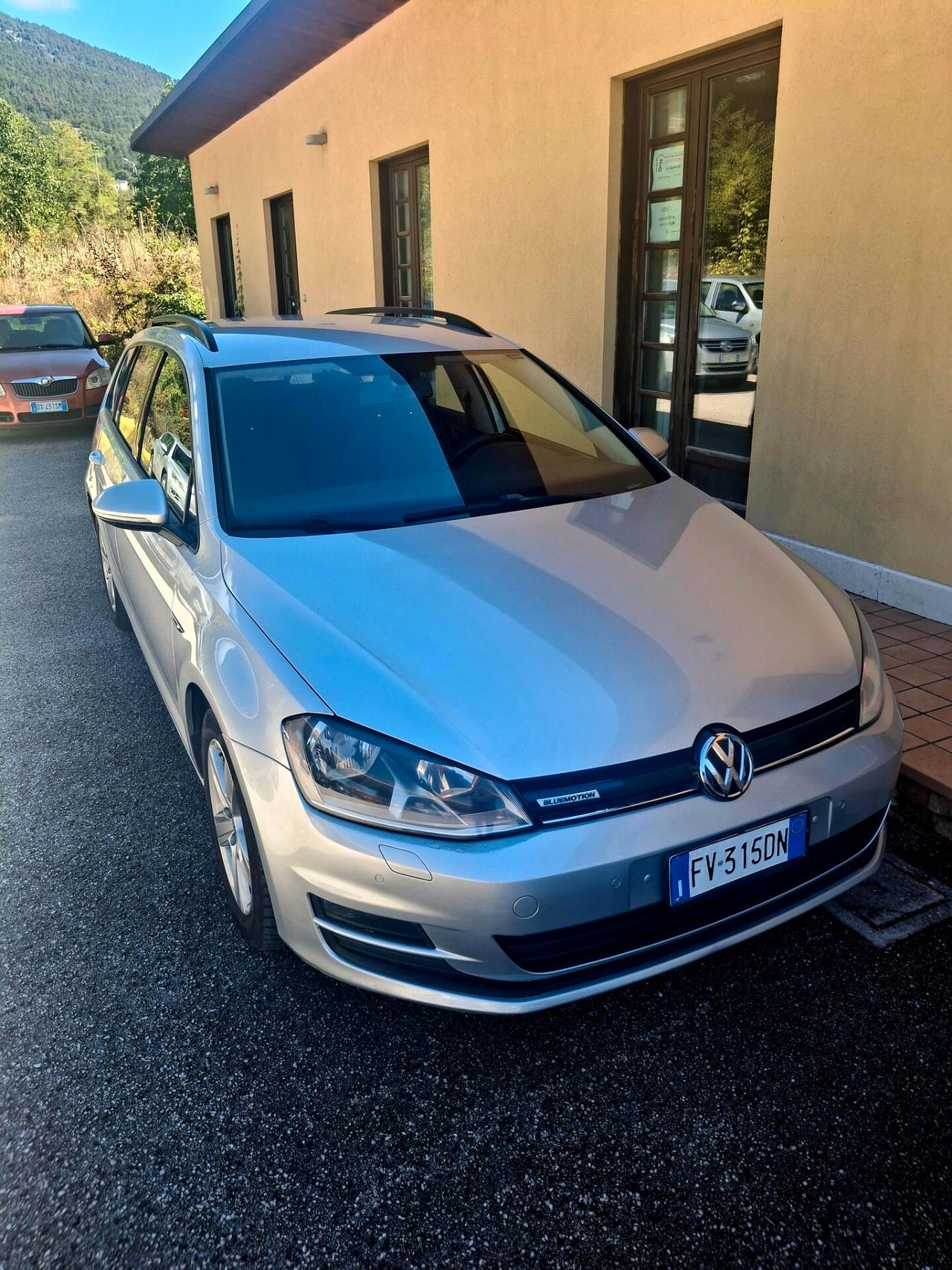Volkswagen Golf Variant Business 1.6 TDI 5p. Comfortline BlueMotion Technology