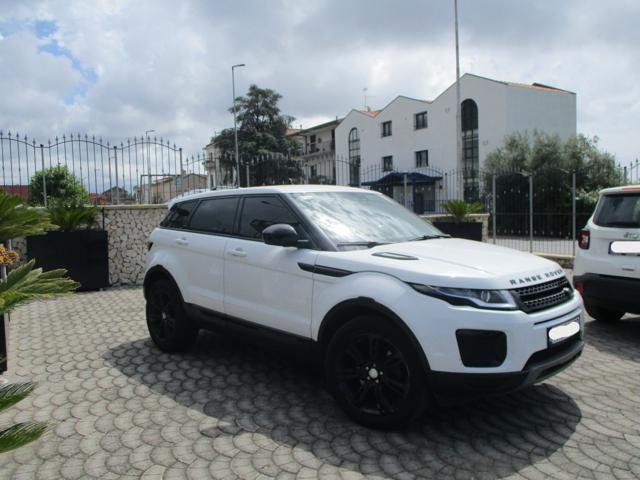 LAND ROVER Range Rover Evoque 2.0 TD4 150 CV 5p. Business Edition