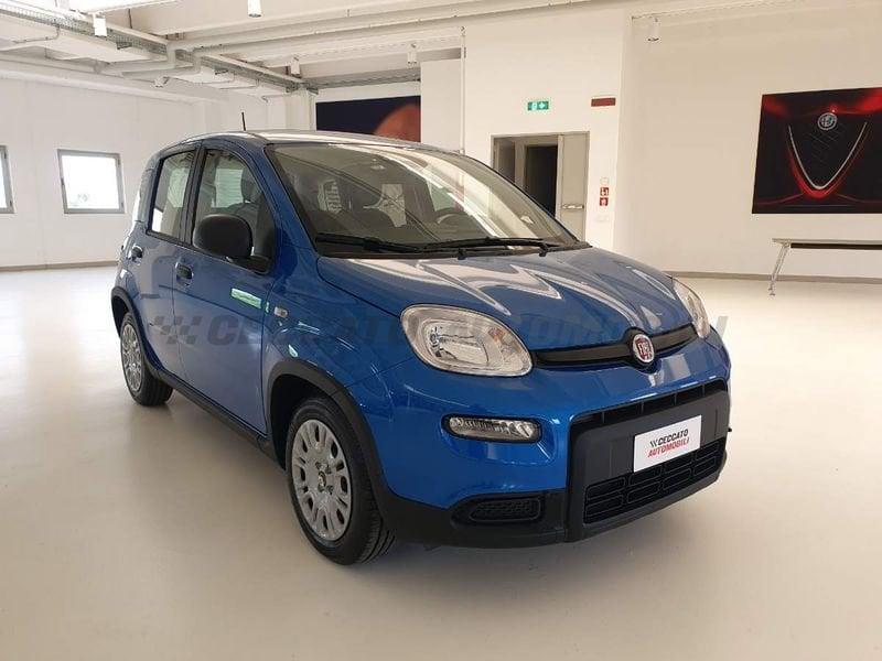 FIAT Panda Panda 1.0 70cv Hybrid Panda