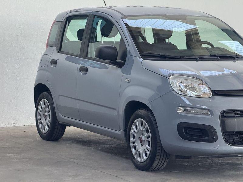 FIAT Panda 1.2 Easy 69cv E6 UNIPRO NEOPATENTATI CRONOLOGIA TAGLIANDI