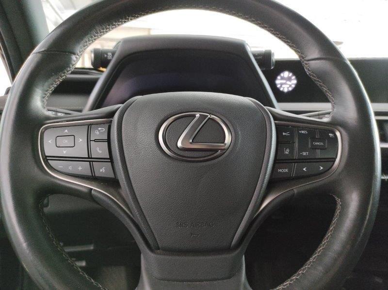 Lexus UX Hybrid Business