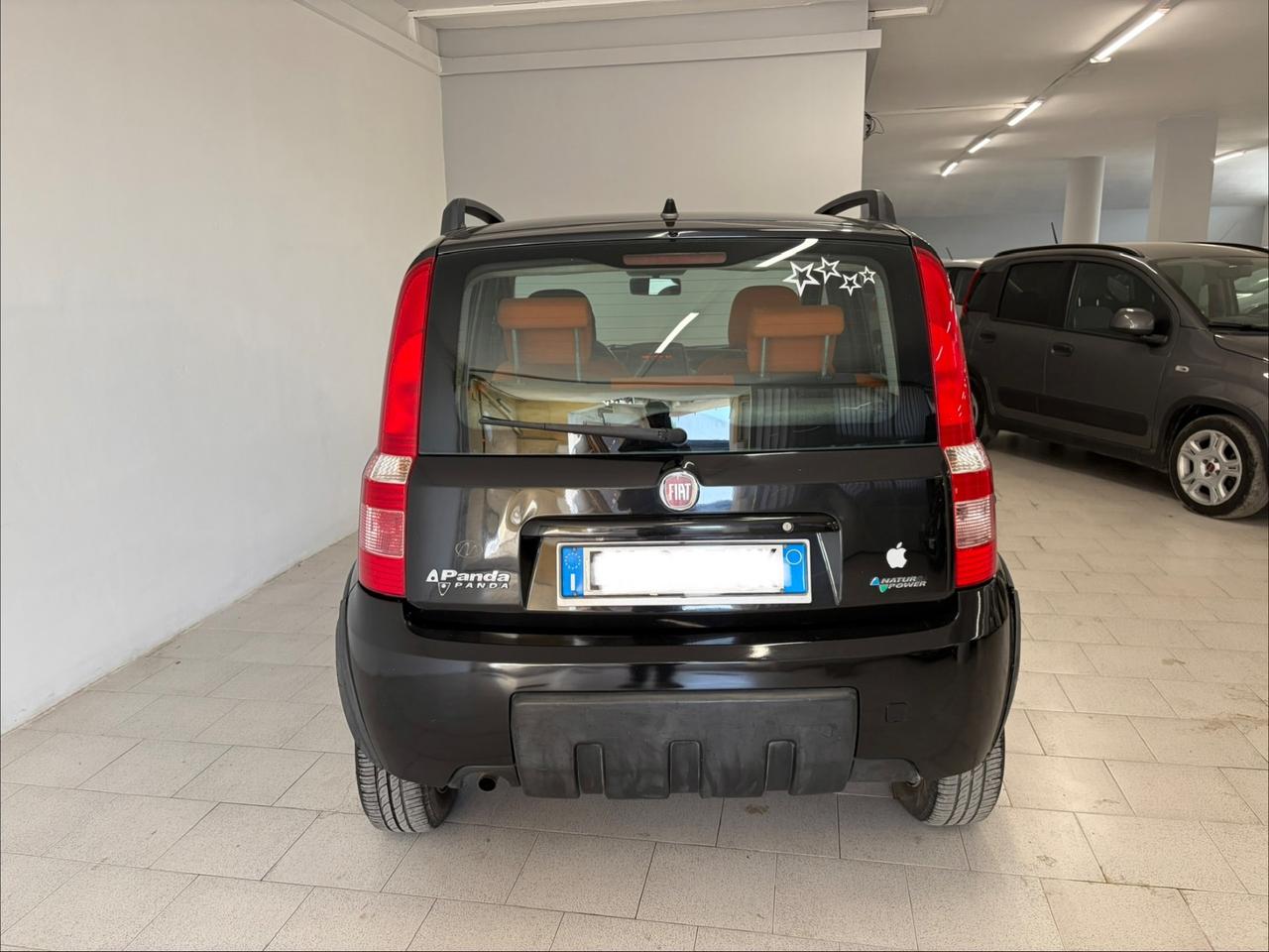 Fiat Panda 1.2 Climbing Natural Power