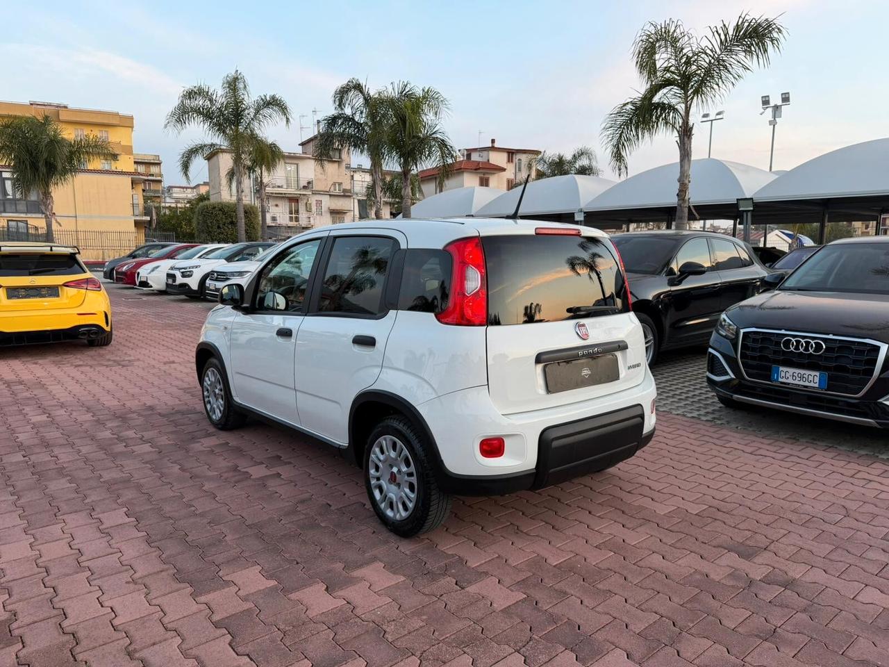 Fiat Panda 1.0 FireFly S&S Hybrid immatricolata N1 IVA DEDUCIBILE