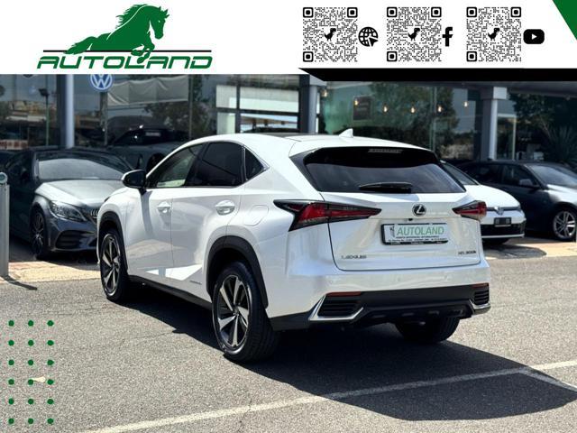 LEXUS NX 300 Hybrid 4WD Executive 155 CV