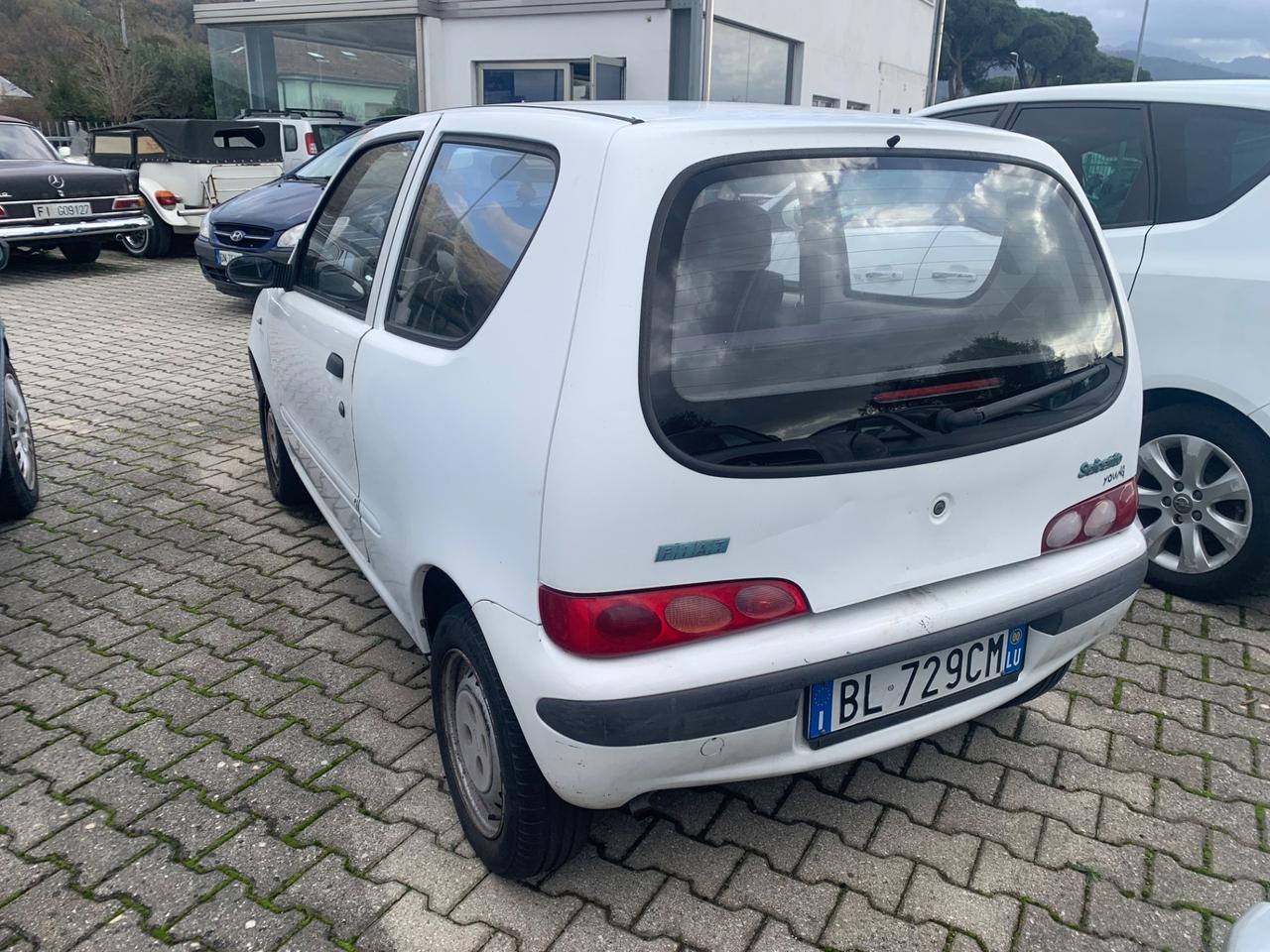 Fiat Seicento 900i cat Young